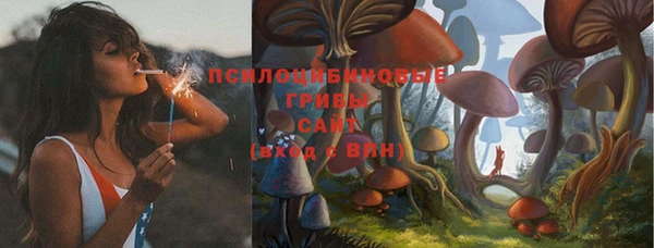 a pvp Алзамай