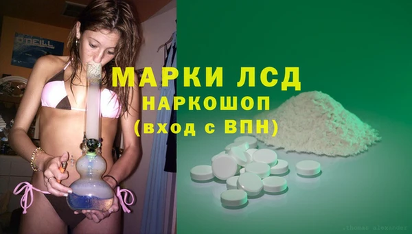 a pvp Алзамай