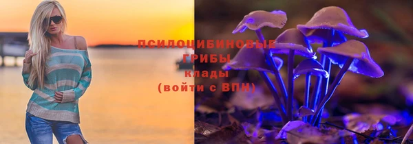 a pvp Алзамай