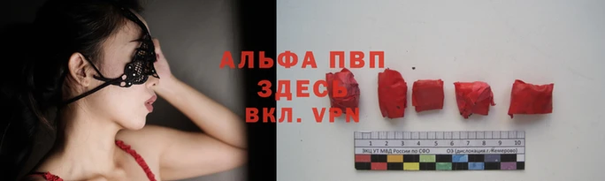 a pvp Алзамай